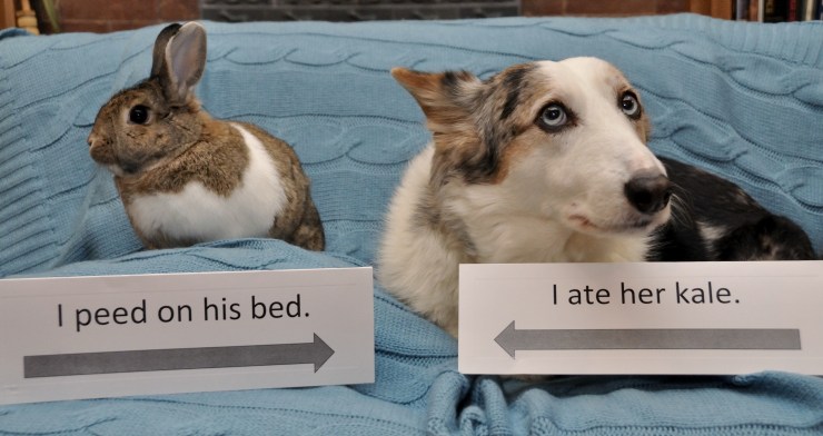 8359148540_1d999ee558_o